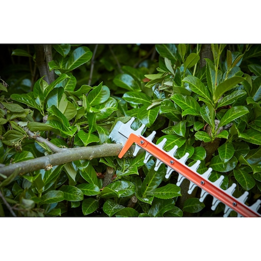 55cm Cordless 36V Hedge Trimmer With SAWBLADE™ (Bare Unit)
