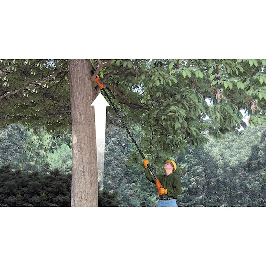 18V 2.0Ah Pole Pruner Li-Ion 20cm bar