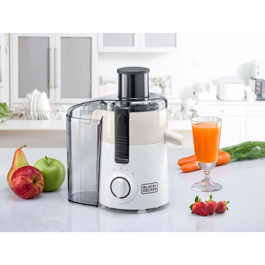 250W Juice Extractor